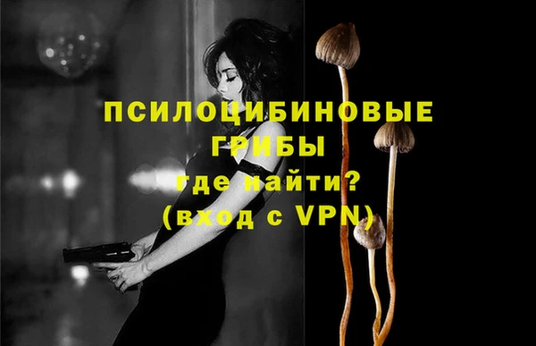 дживик Алексеевка