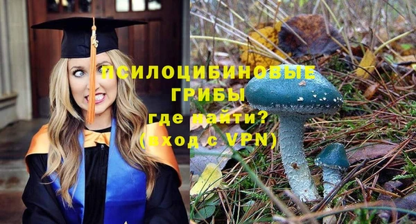 хмурый Алзамай