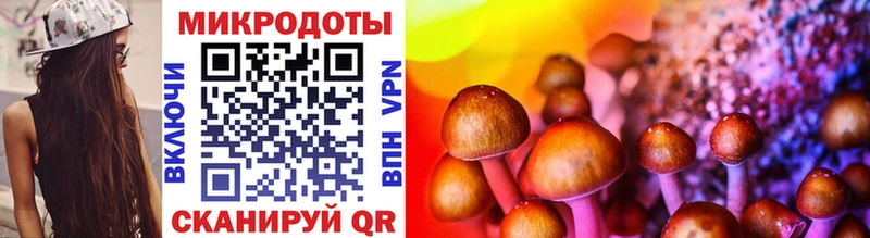 Галлюциногенные грибы Magic Shrooms  Мензелинск 